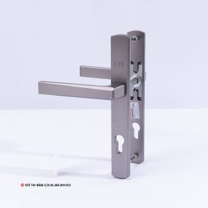 Đôi Tay Nắm Cửa Đi, Mã DH1003