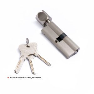 Lõi Khóa Cửa Lùa 30x30D, Mã CY1600