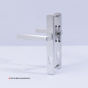Đôi Tay Nắm Cửa Đi, Mã DH1000
